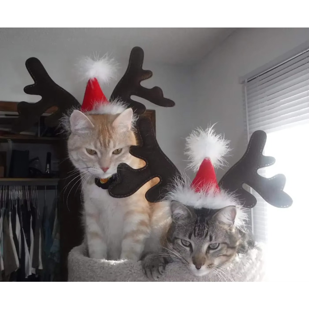 Kersthoed met rendiergewei voo - Reindeer Antlers Headband recensie en prijs