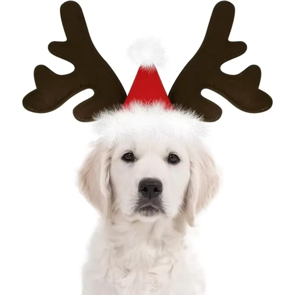 Kersthoed met rendiergewei voo - Reindeer Antlers Headband recensie en prijs